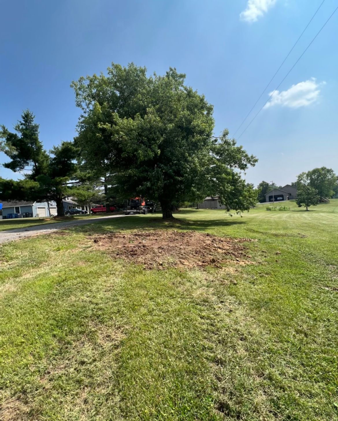 Stump Removal — Scottsburg, IN — Babbs Land Management LLC