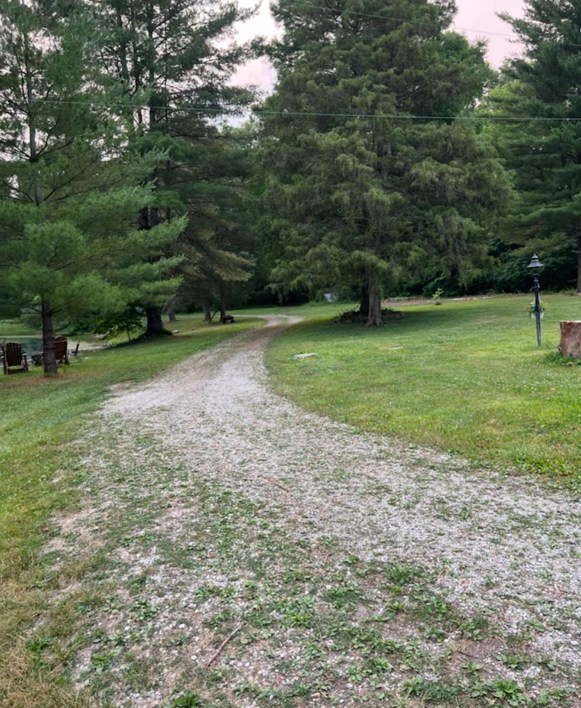 Before Driveway Clearing — Scottsburg, IN — Babbs Land Management LLC