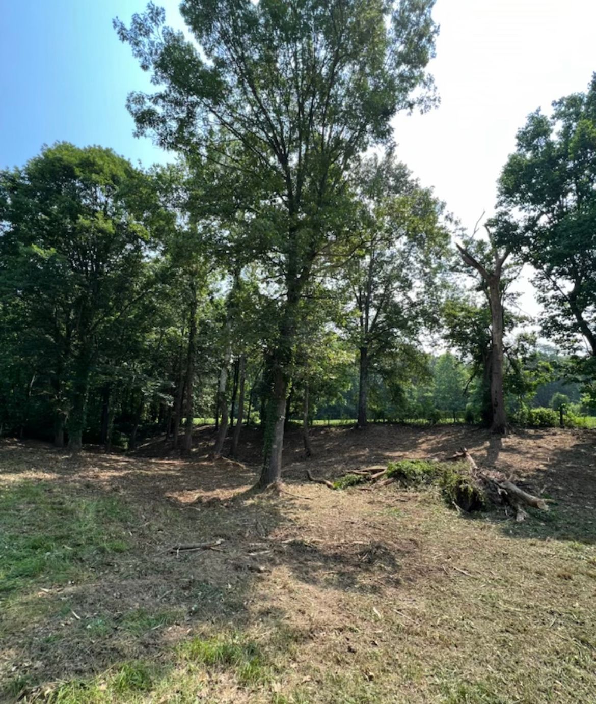 Forestry Mulching — Scottsburg, IN — Babbs Land Management LLC