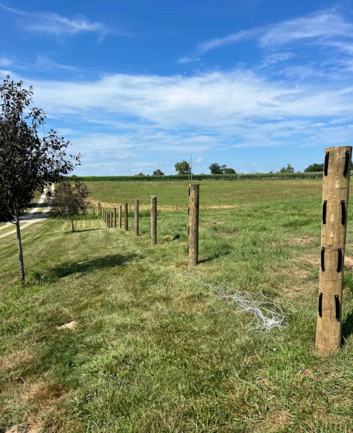 Farm Fence Construction — Scottsburg, IN — Babbs Land Management LLC