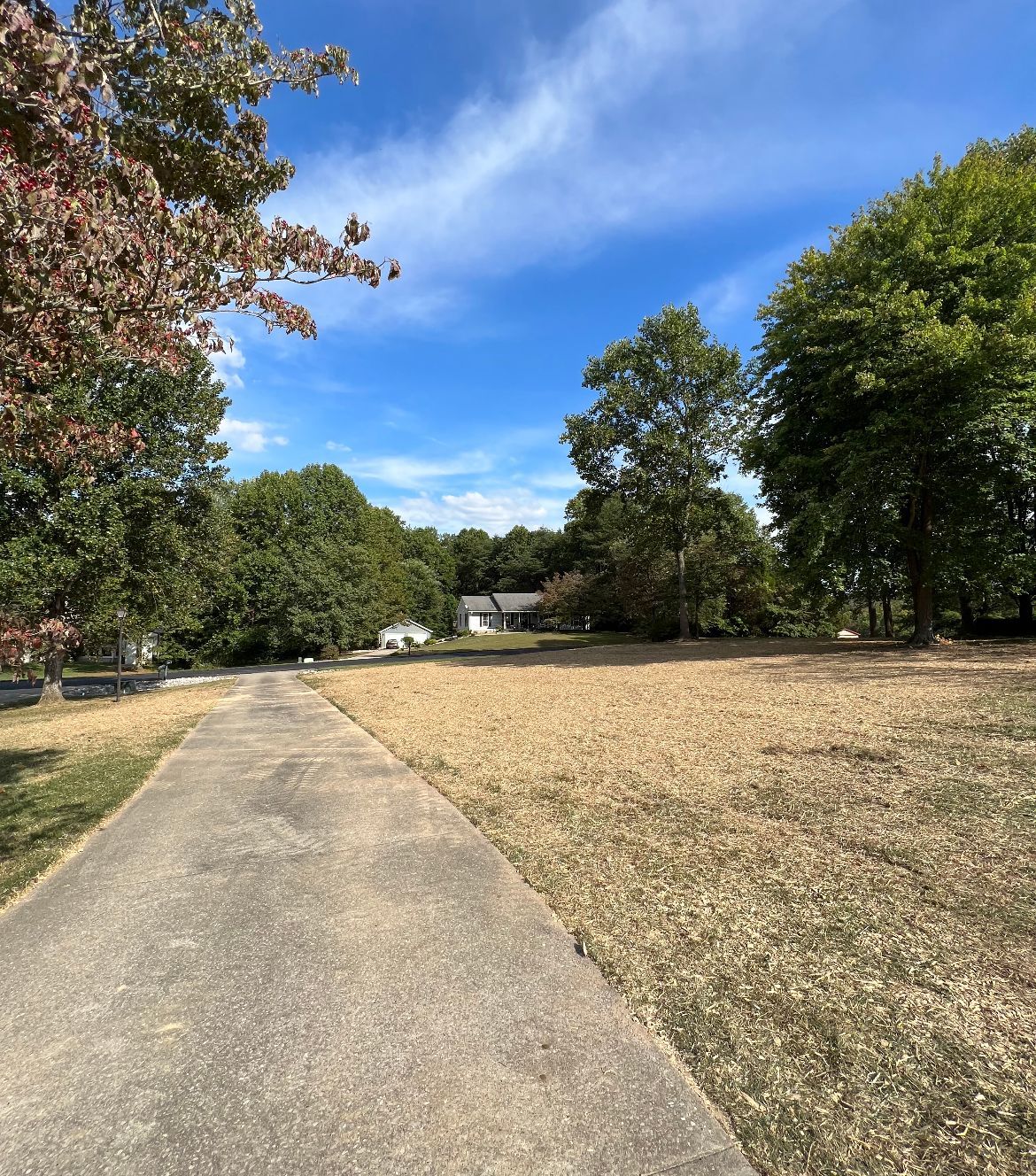 Driveway Before | Freetown, IN | Babbs Land Management LLC