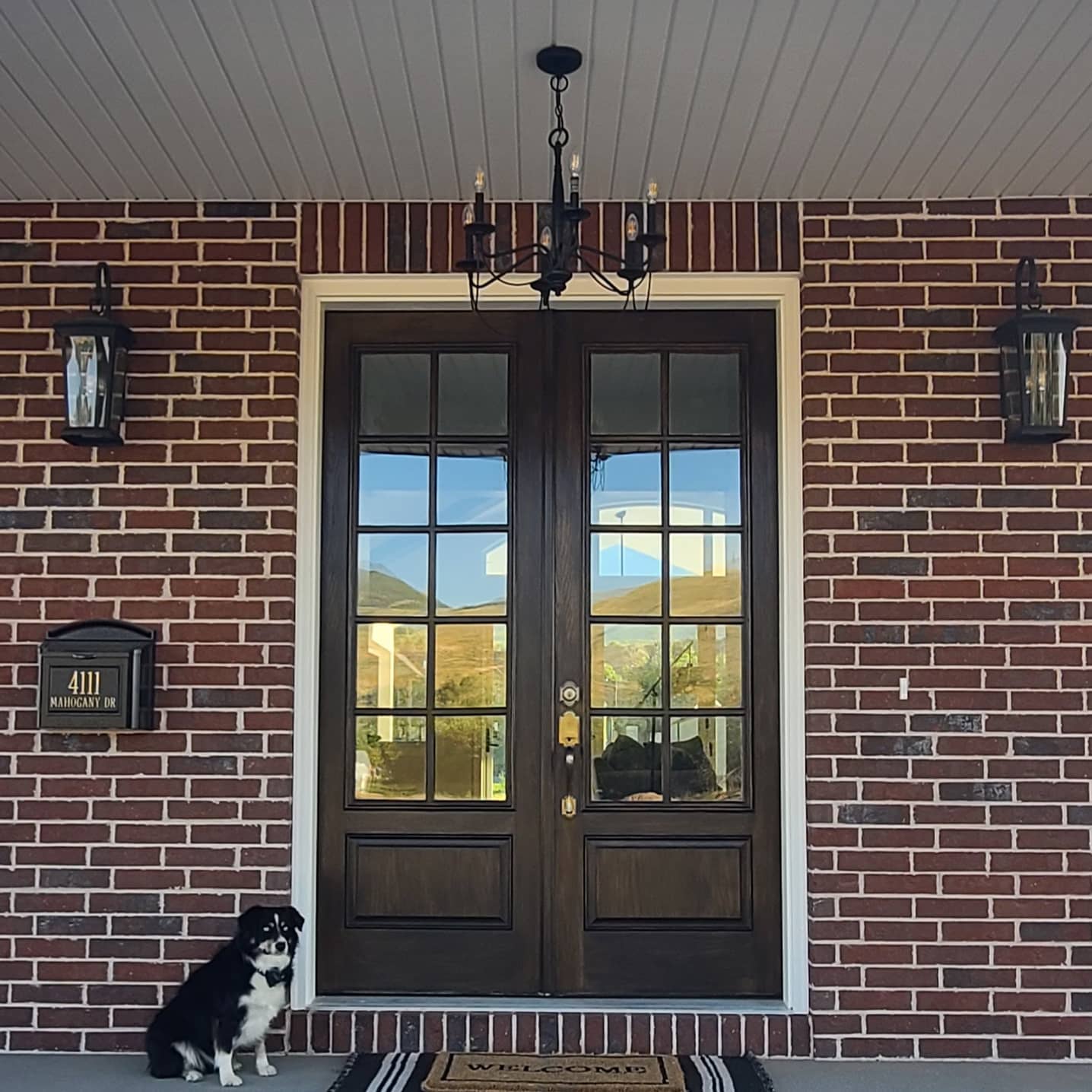 A dog sits in front of a door that says welcome