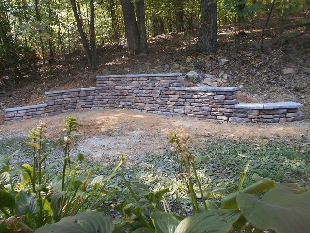 A stone wall in the middle of a forest