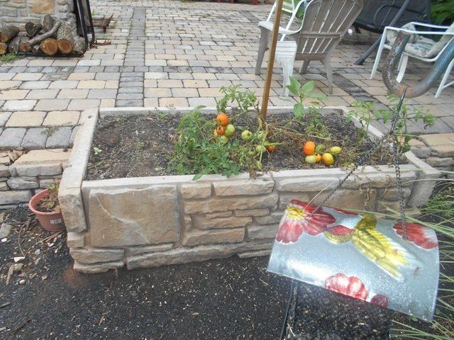 A Planter Filled with Tomatoes Is on A Patio Next to A Chair.