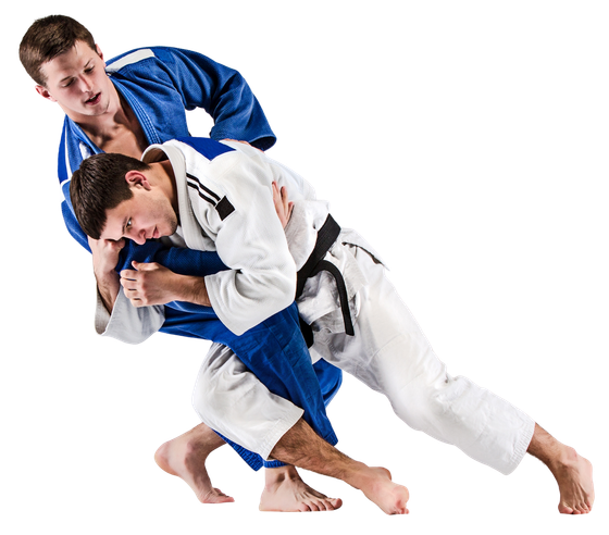 a group of children are practicing martial arts together .