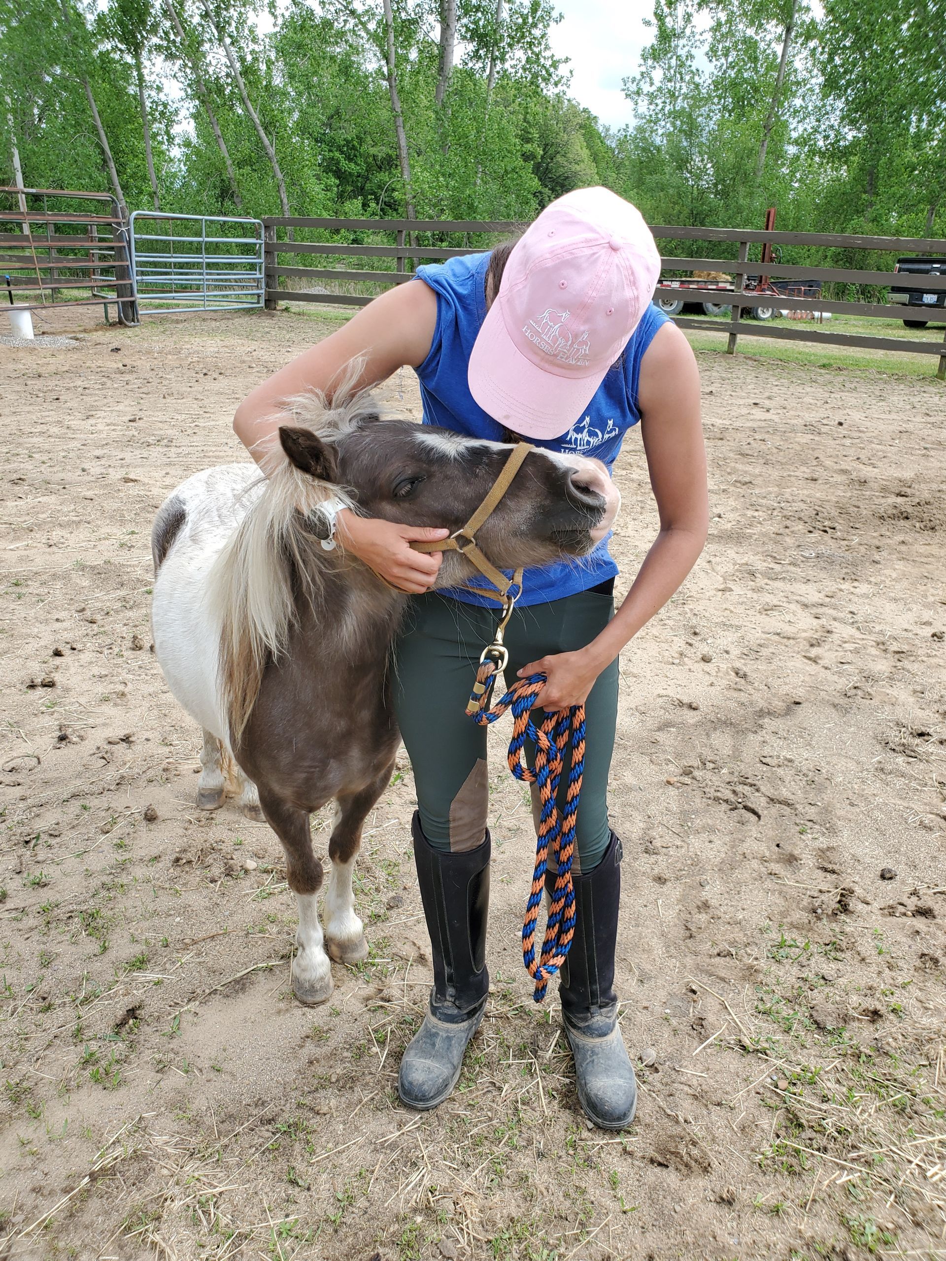 A woman is petting a small pony on a leash.