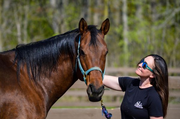 A woman is petting a brown horse in a fenced in area.