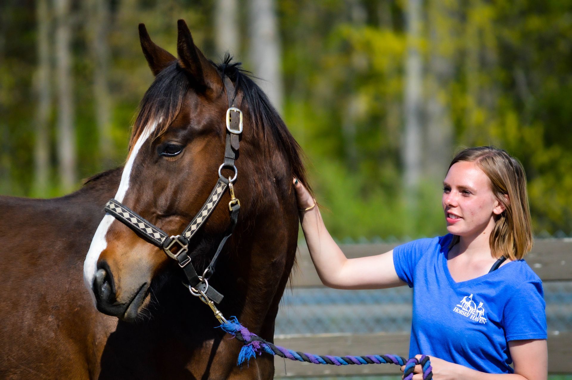A woman in a blue shirt is petting a brown horse.