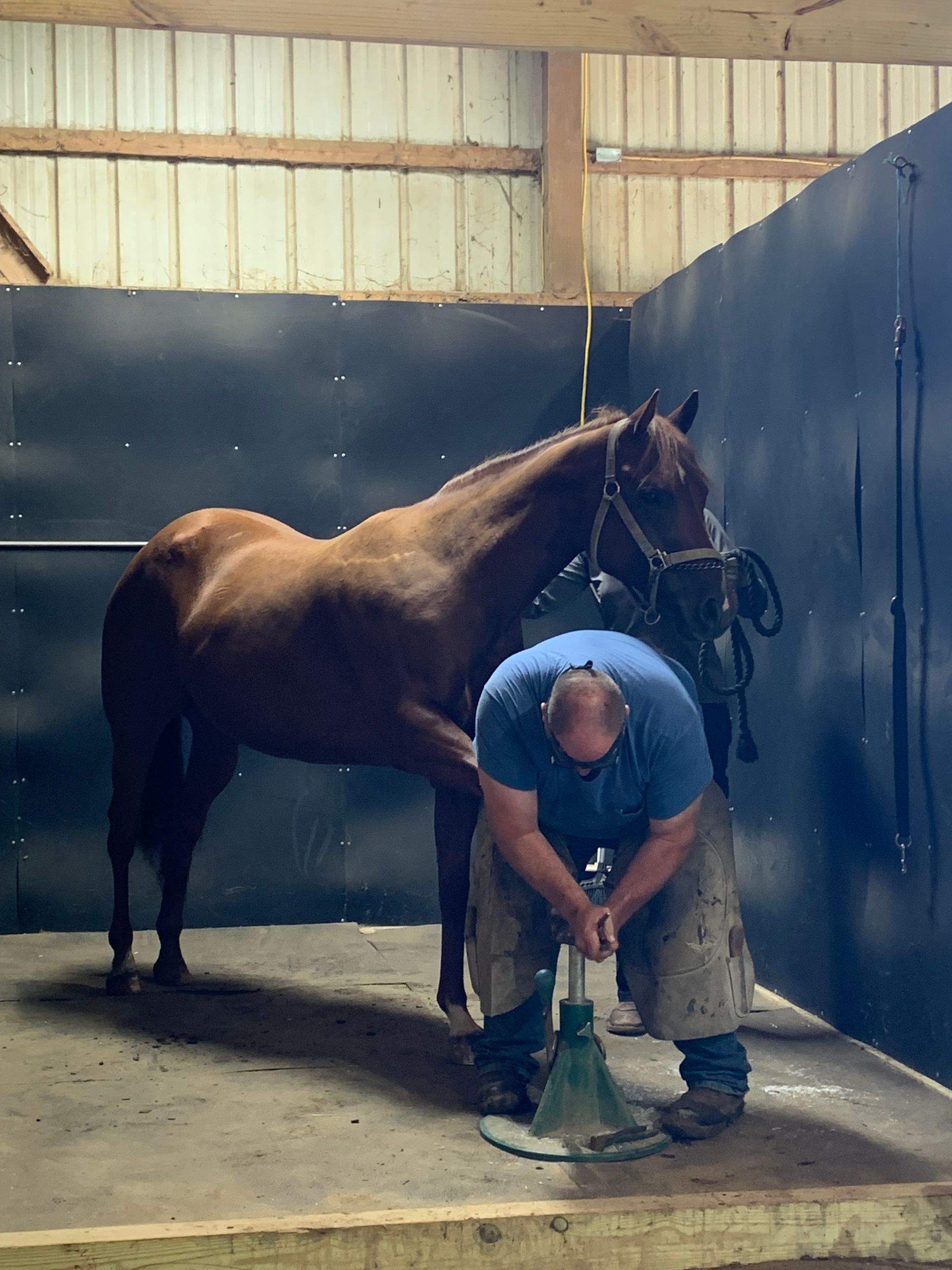 A man is shoeing a horse in a stable.