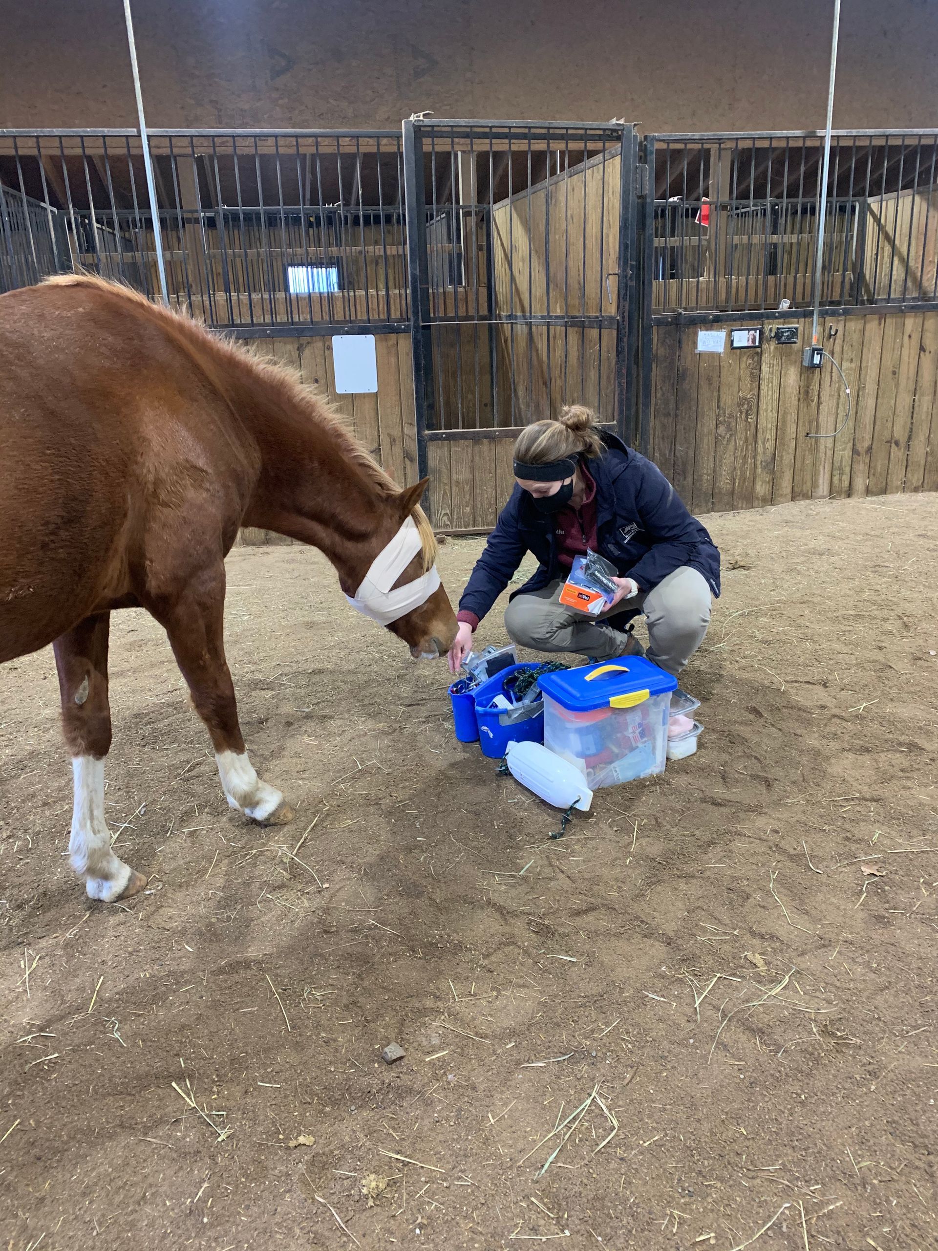 A woman is kneeling next to a brown horse in a stable.