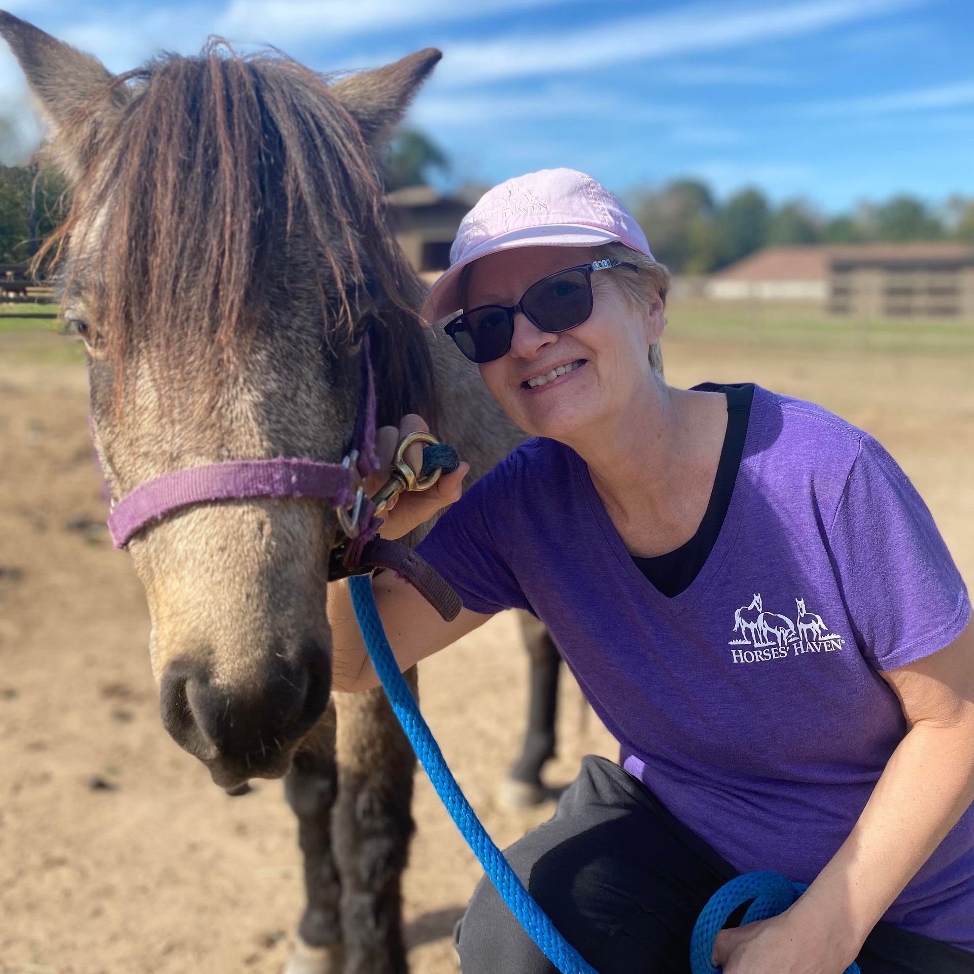 A woman in a purple shirt is holding a horse on a leash