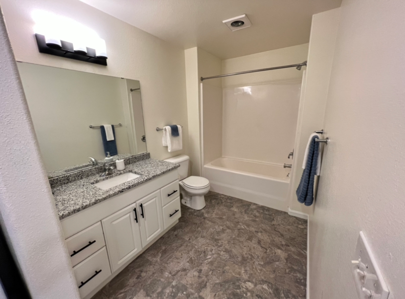 a bathroom with a toilet a sink and a bathtub