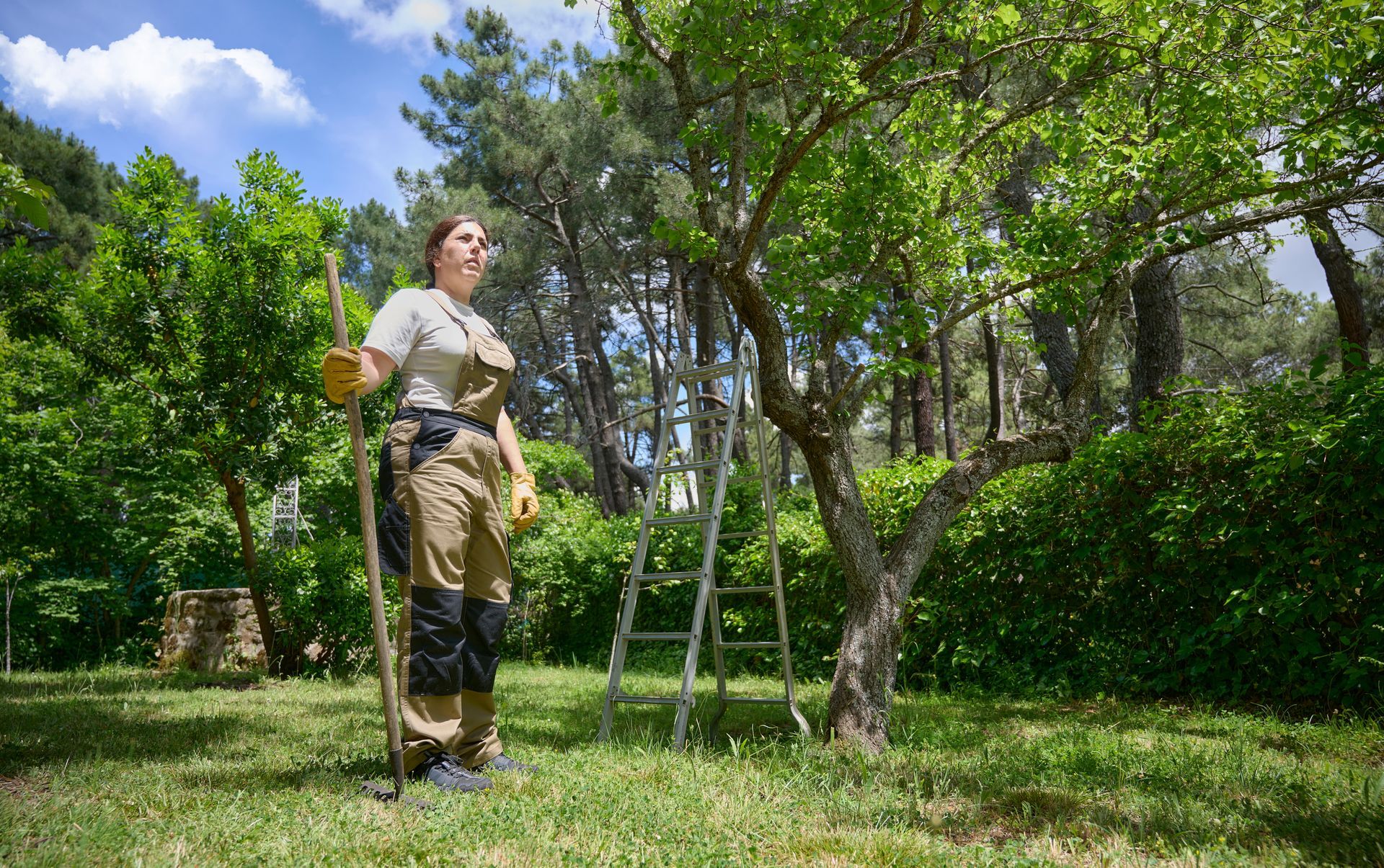 A gardener dressed in workwear holds a rake besides a tree and a step ladder on a sunny day.