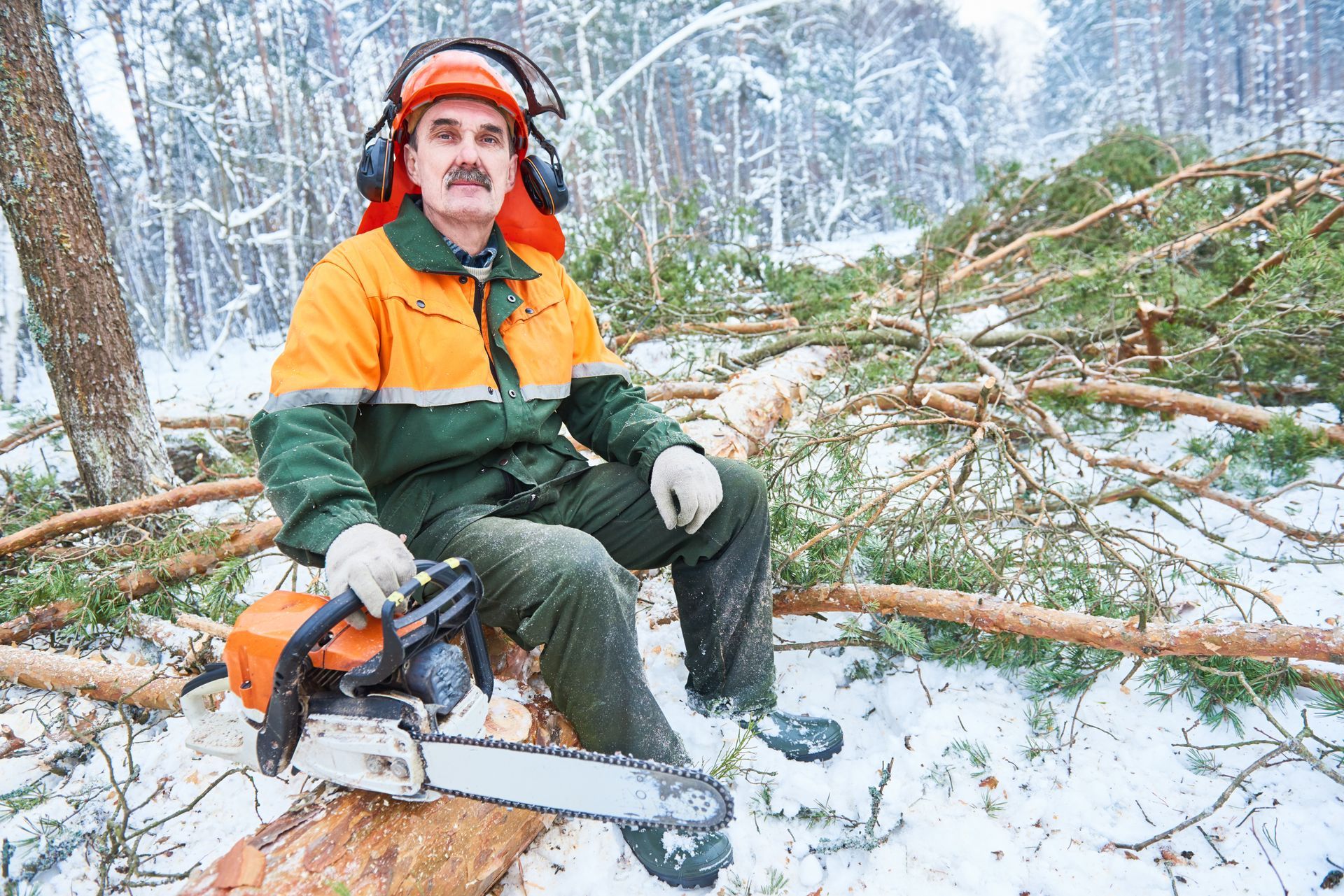 A timber cutter seated on a cutdown tree in a wintry forest. A timber cutter seated on a cutdown tree in a wintry forest.