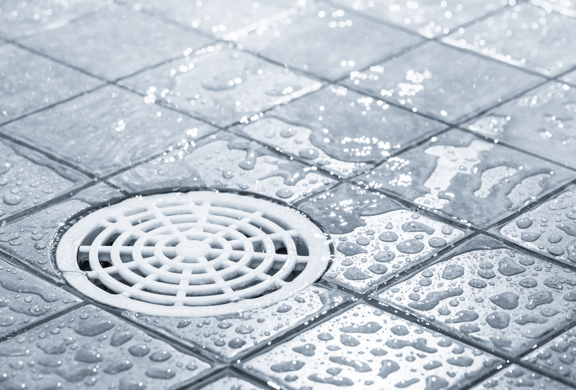 White drain cover on a tiled shower floor with water droplets.