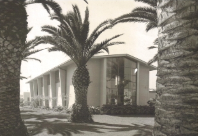 Main Street Library, in the early days Black and white photo of a modern building with large windows framed by palm trees.