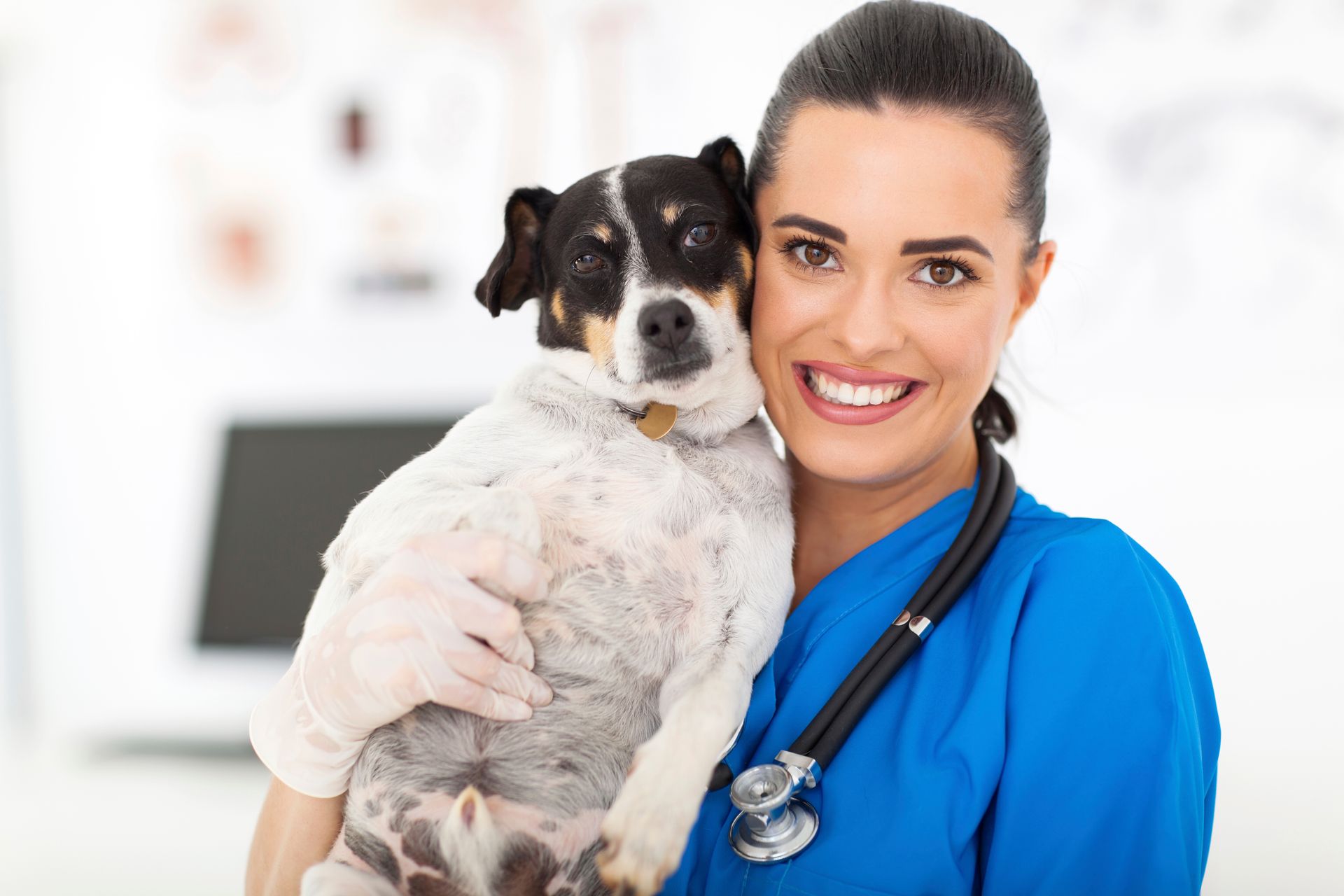 Veterinary nurse holding dog at Beaver Dam Veterinary Clinic, your trusted vet in Ripon, WI, providing compassionate pet care