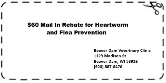 Rabies Vaccinations Amazing Offers — Beaver Dam, WI — Beaver Dam Veterinary Clinic