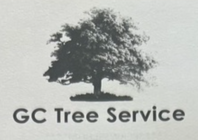 Logo for EverRoot Tree Service: A green tree silhouette above the company name in green and brown text.