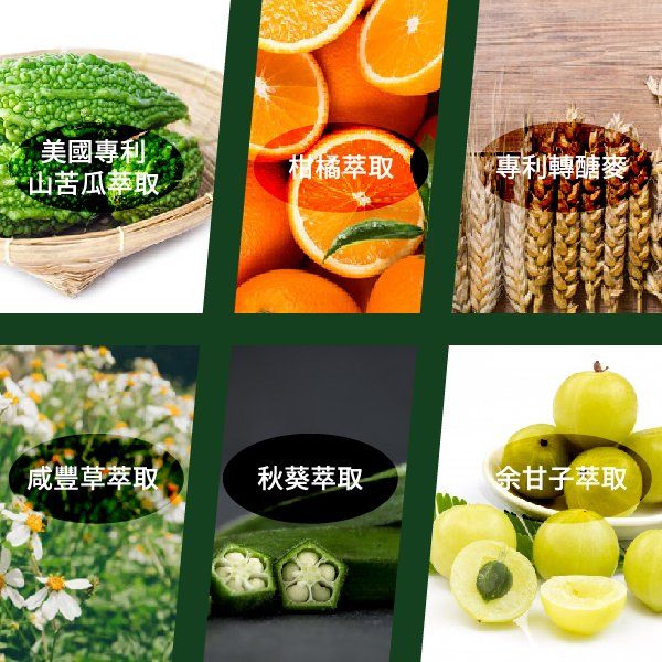 從事保健食品的易健達公司銷售商品大醣盛世商品介紹