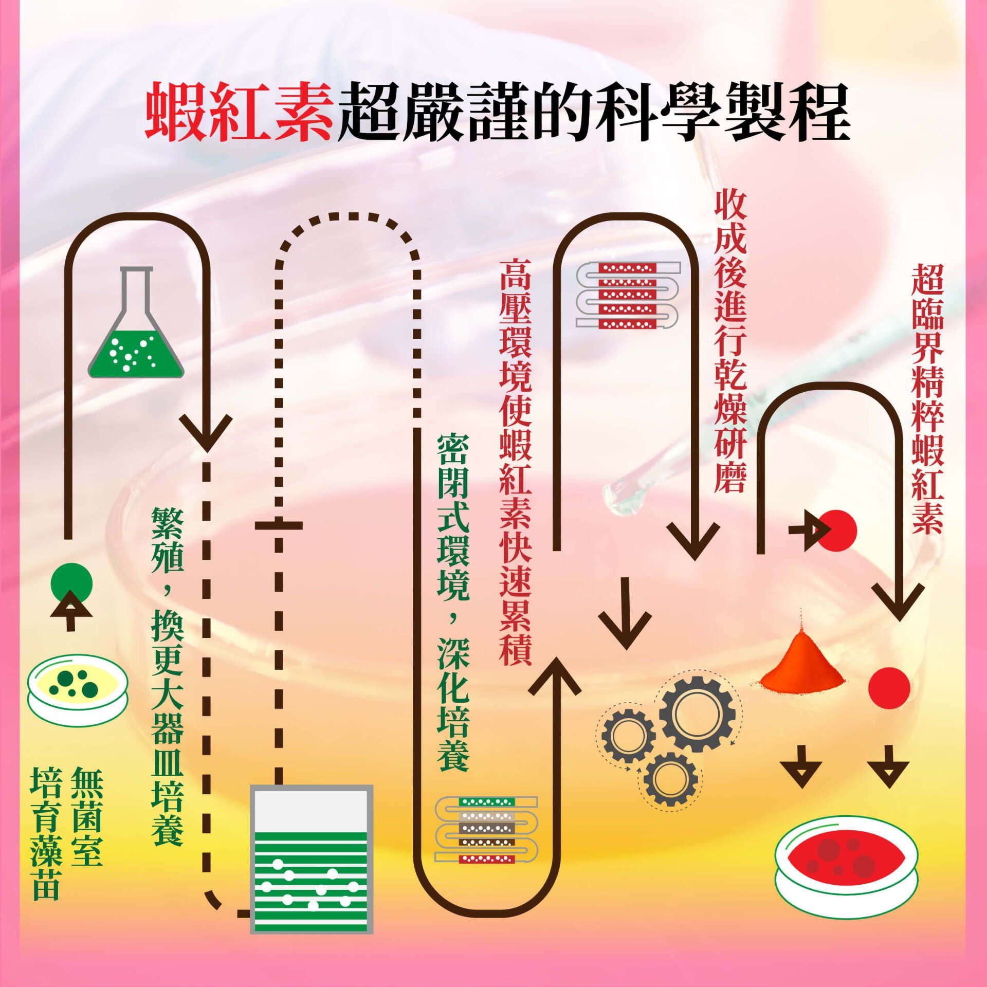 金生晶適的商品介紹