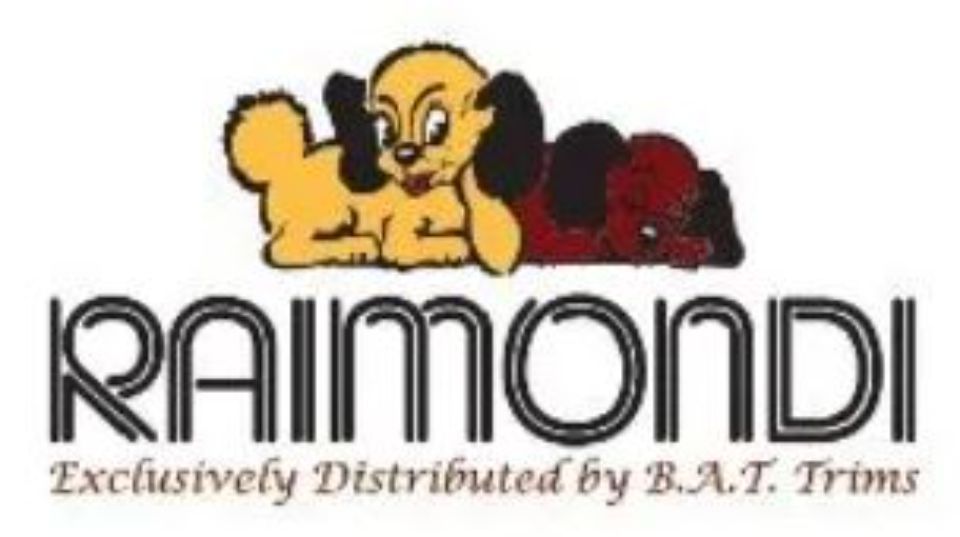 Logo Raimondi