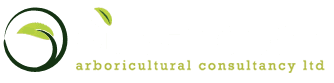 Silverback Arboricultural Consultancy Logo