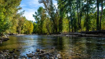 Our Service Continues As Always...