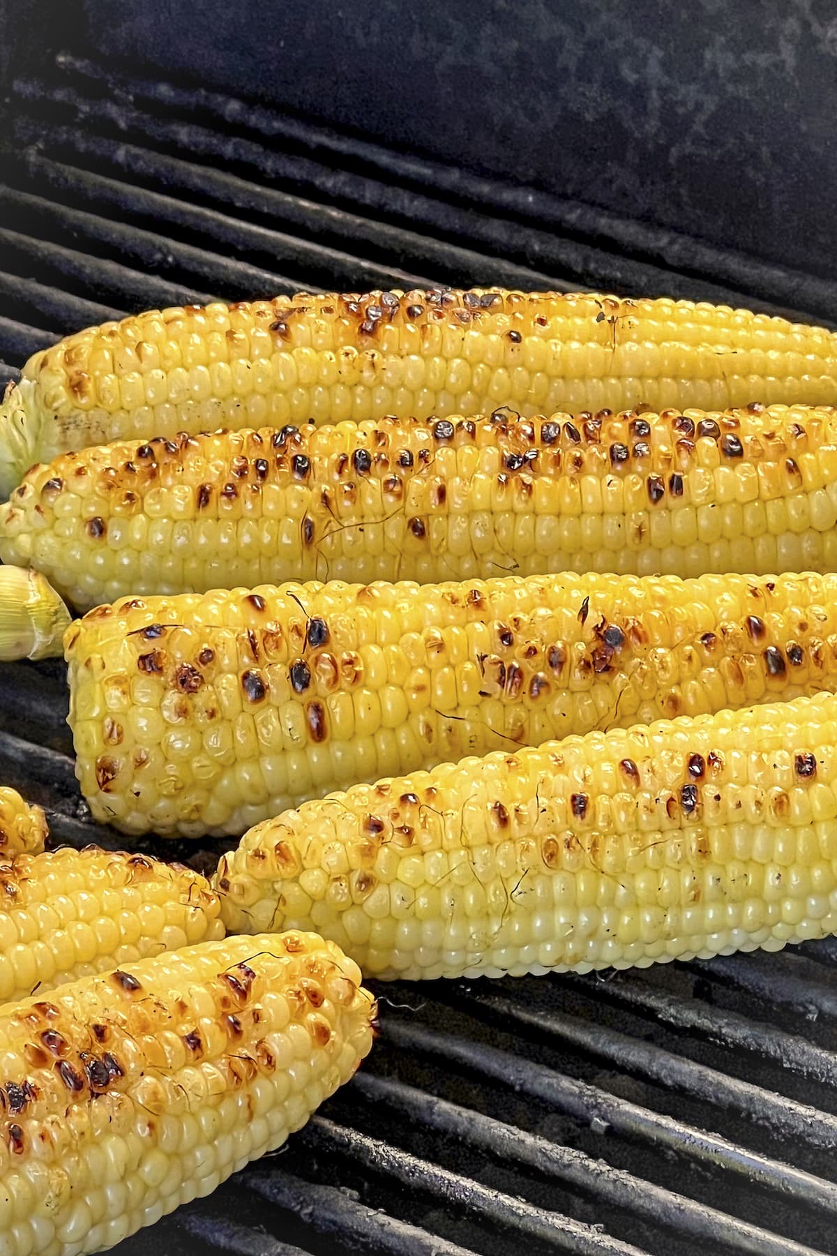 charred corn on the cob cooking on the grill