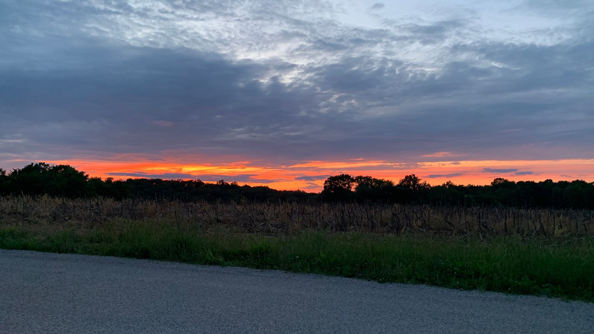 Sunset over field and treeline; orange and red sky, gray clouds.  By Mary Berry - Art