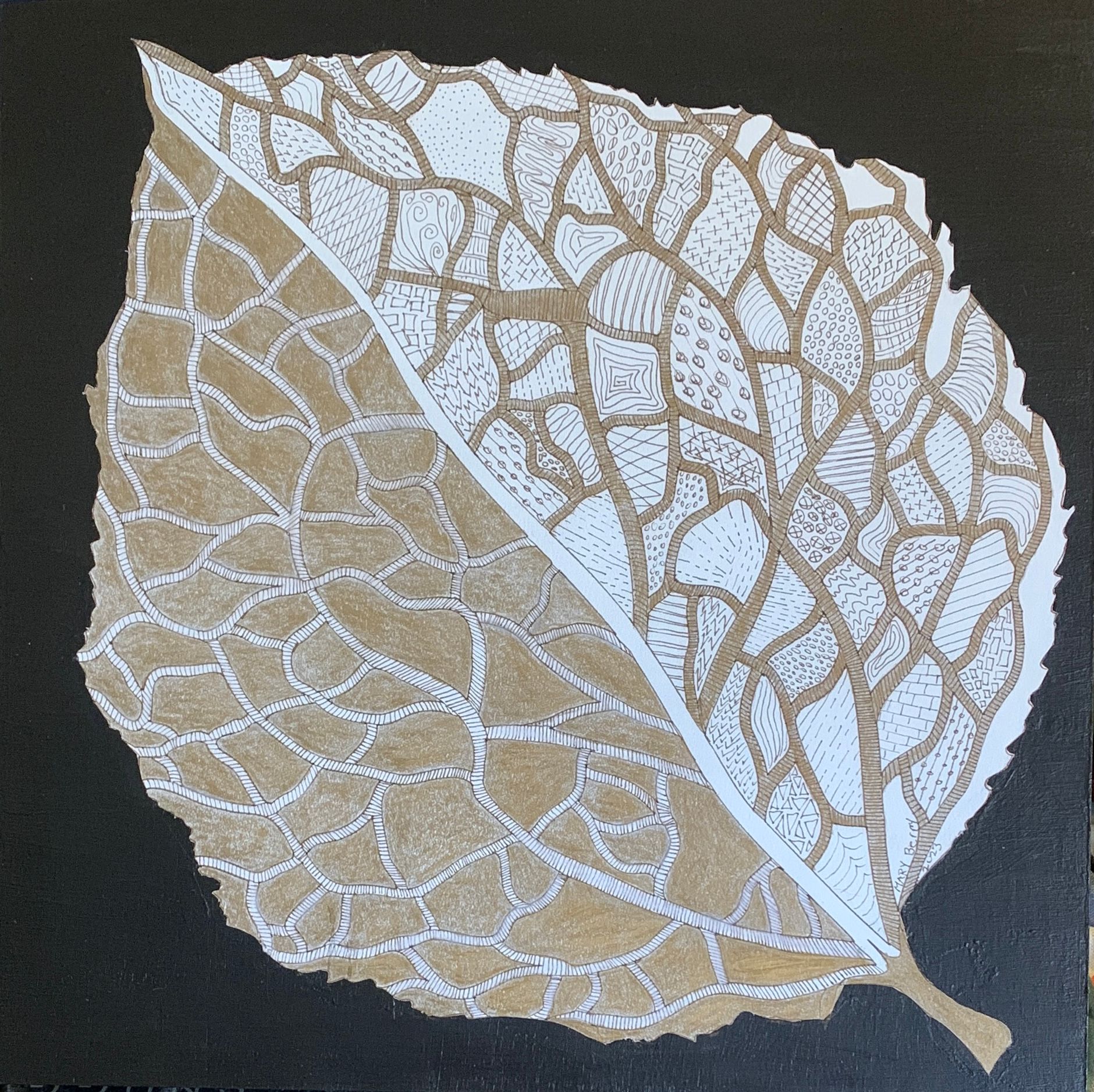 A tan and white leaf-skeleton drawing against a black background.  By Mary Berry - Art