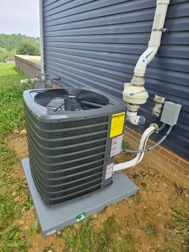 A yellow house with a tree in front of it