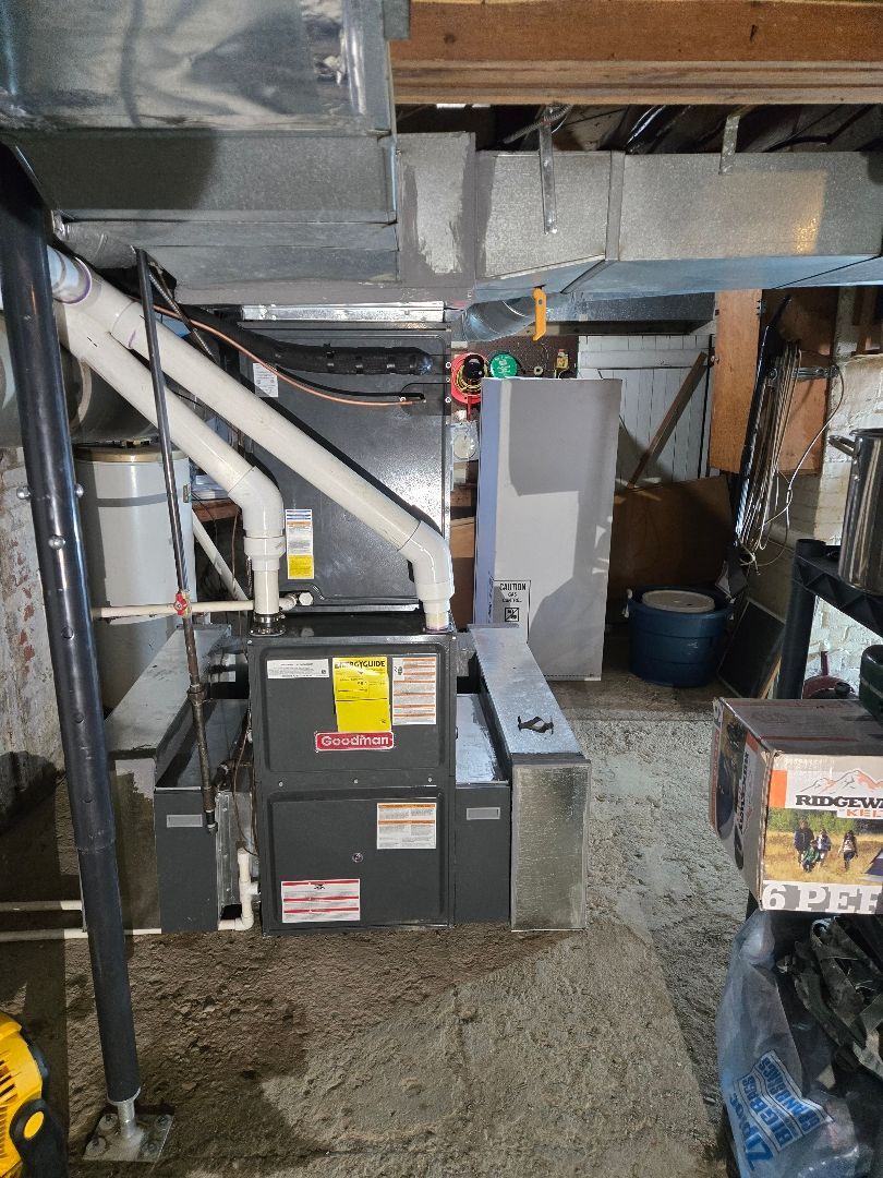 A yellow house with a tree in front of it