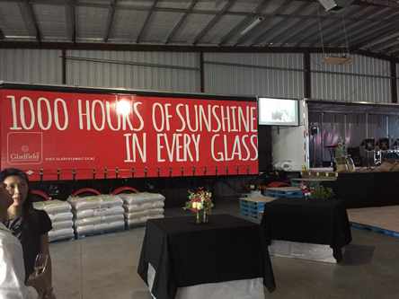 1000 hours of sunshine in a glass