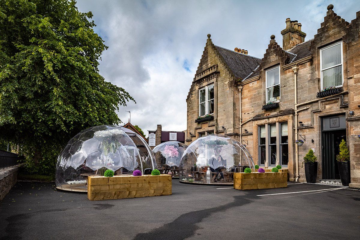 The Fox and the Willow Domes