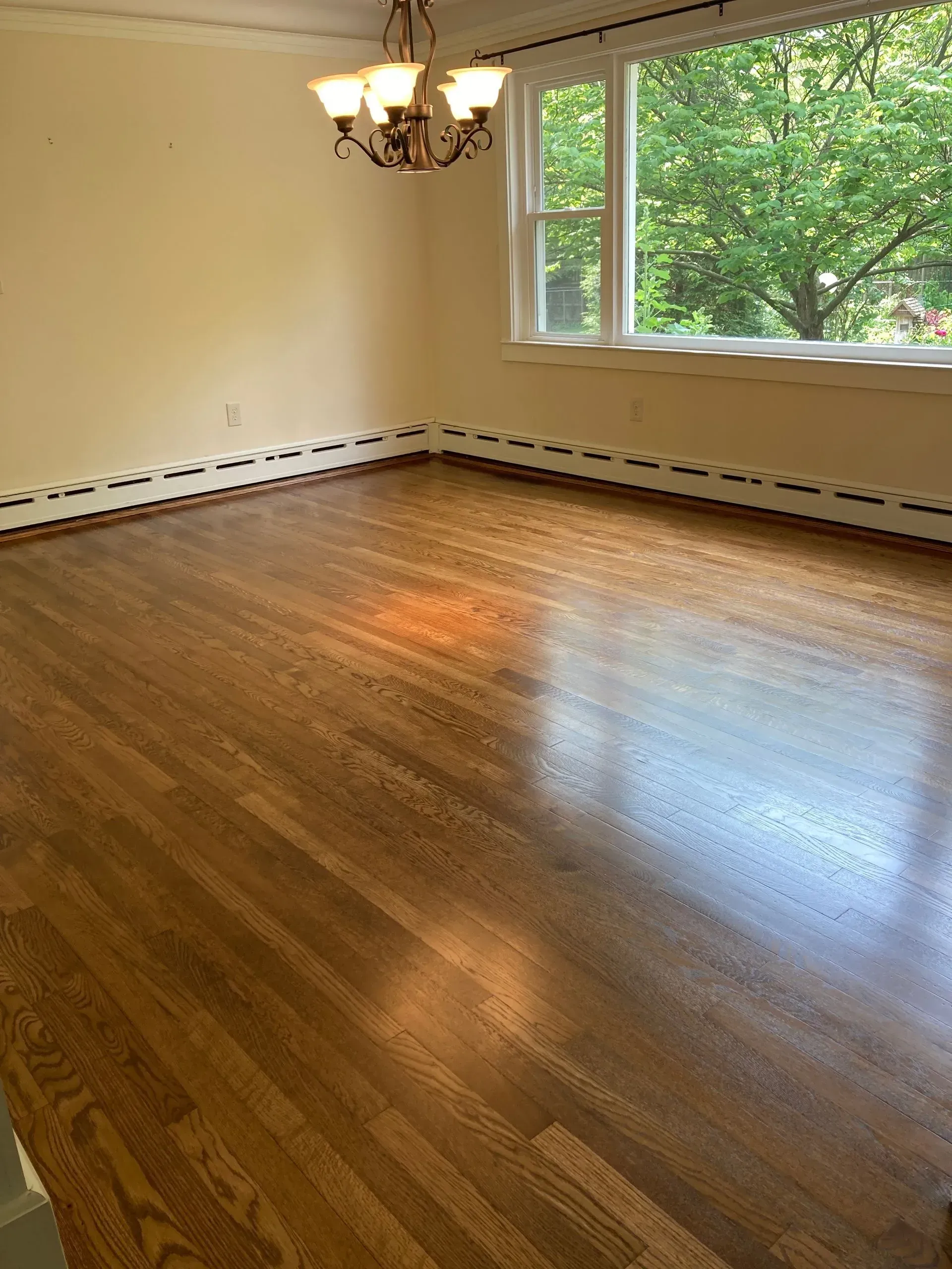 Empty dining room with polished hardwood floor, yellow walls, a window, and chandelier.