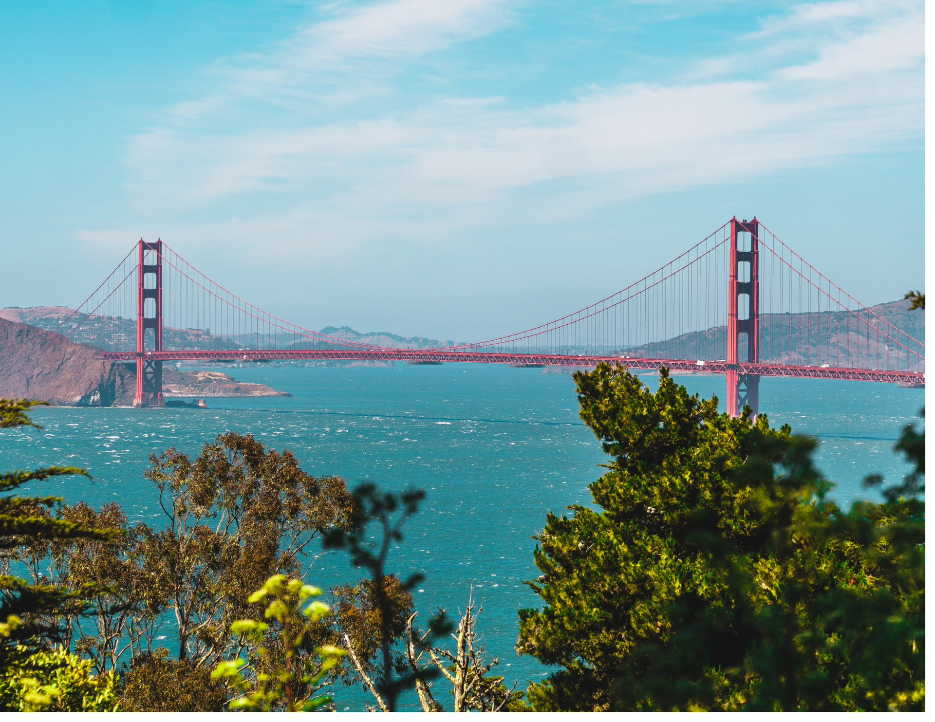 Golden Gate Bridge spanning a blue bay, with trees in the foreground and hills in the background.