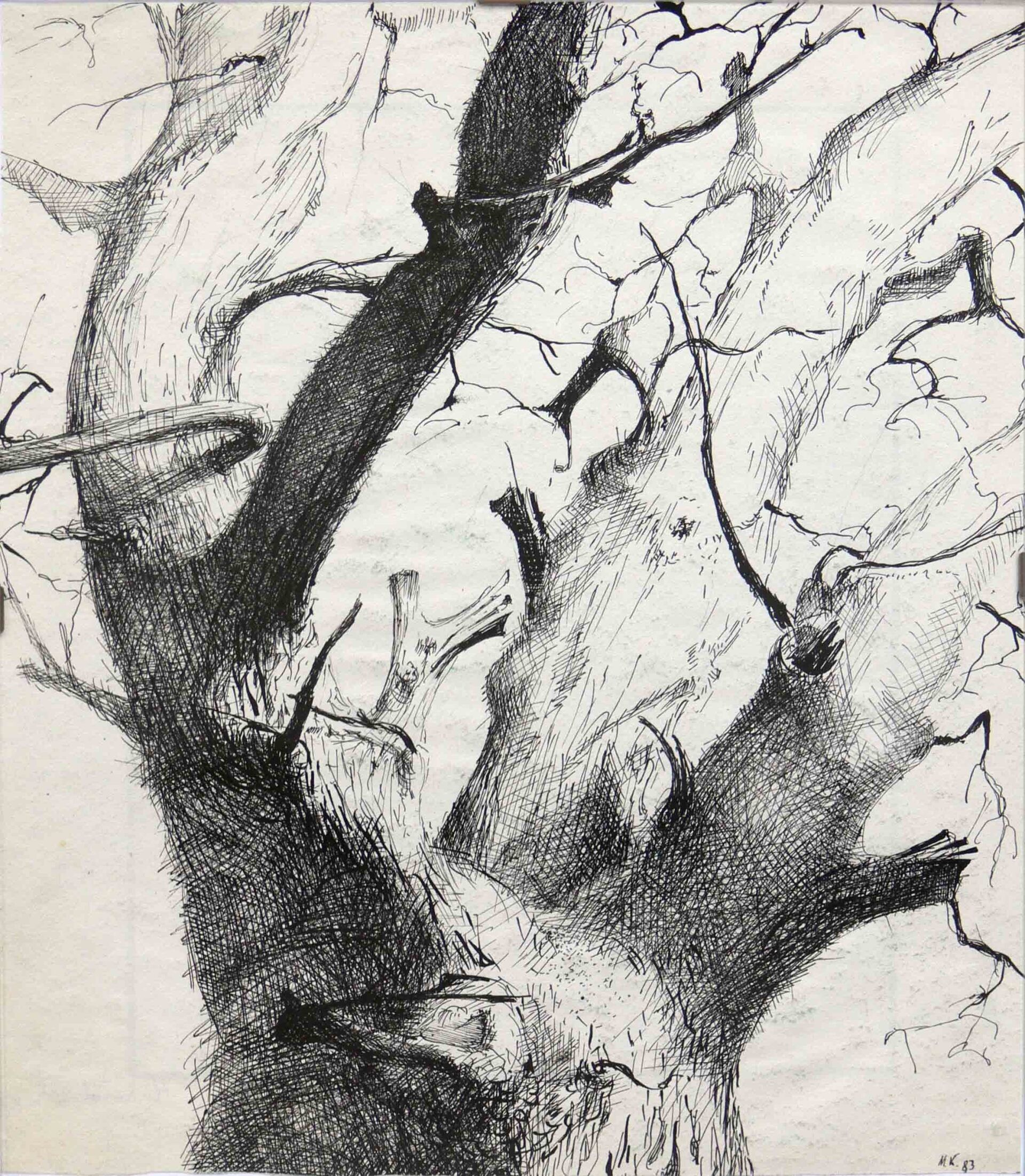 Archive abstract sketch of tree branches by Mariusz Kaldowski