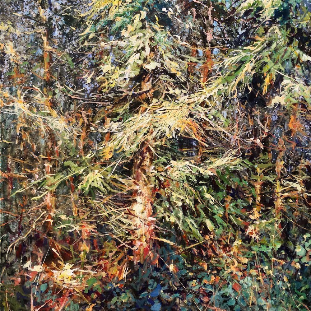 Forest painting “Magnificent Pines” by Mariusz Kaldowski — acrylic on canvas, 100 × 100 cm