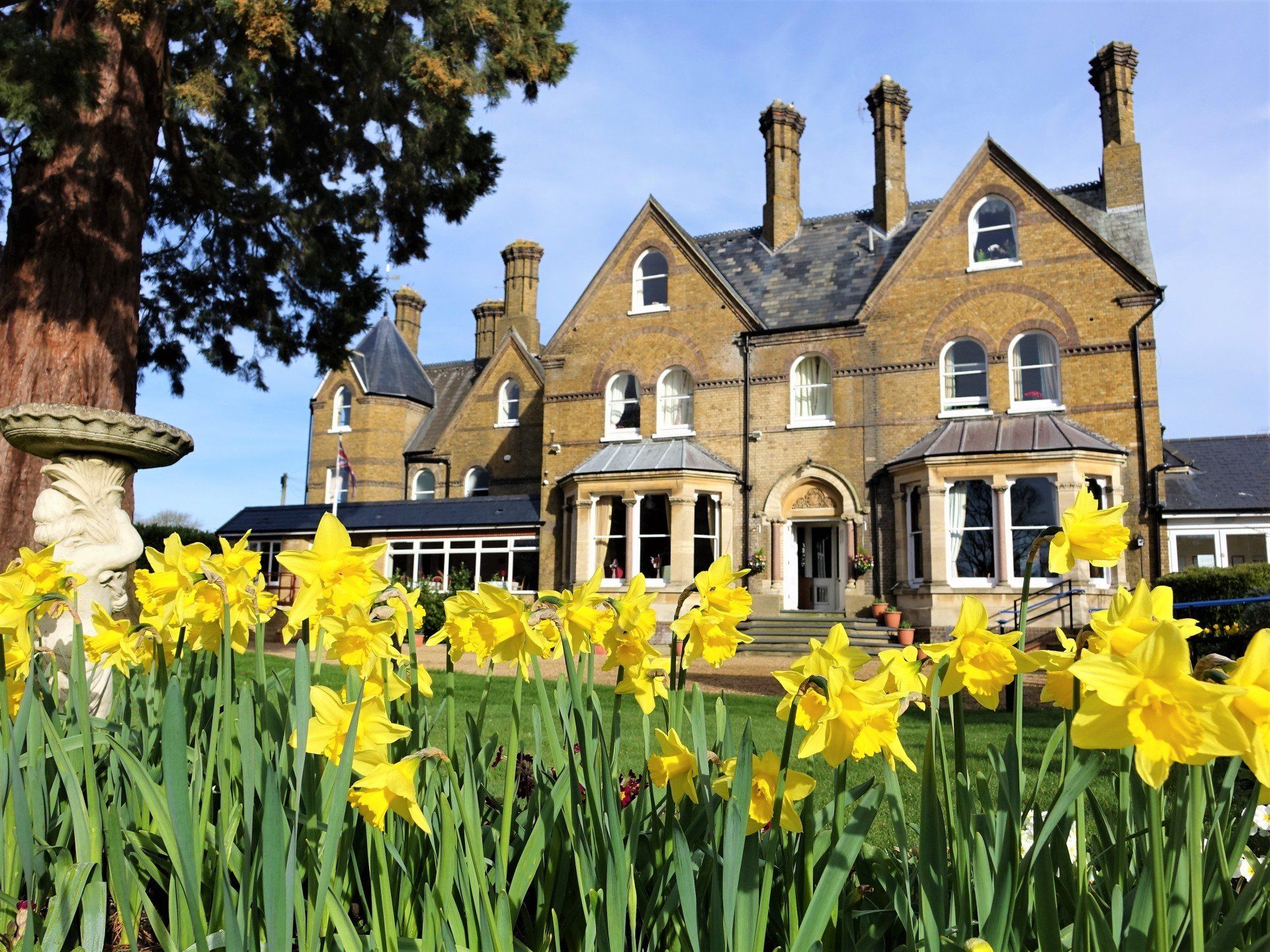 Nursing home The Lindens