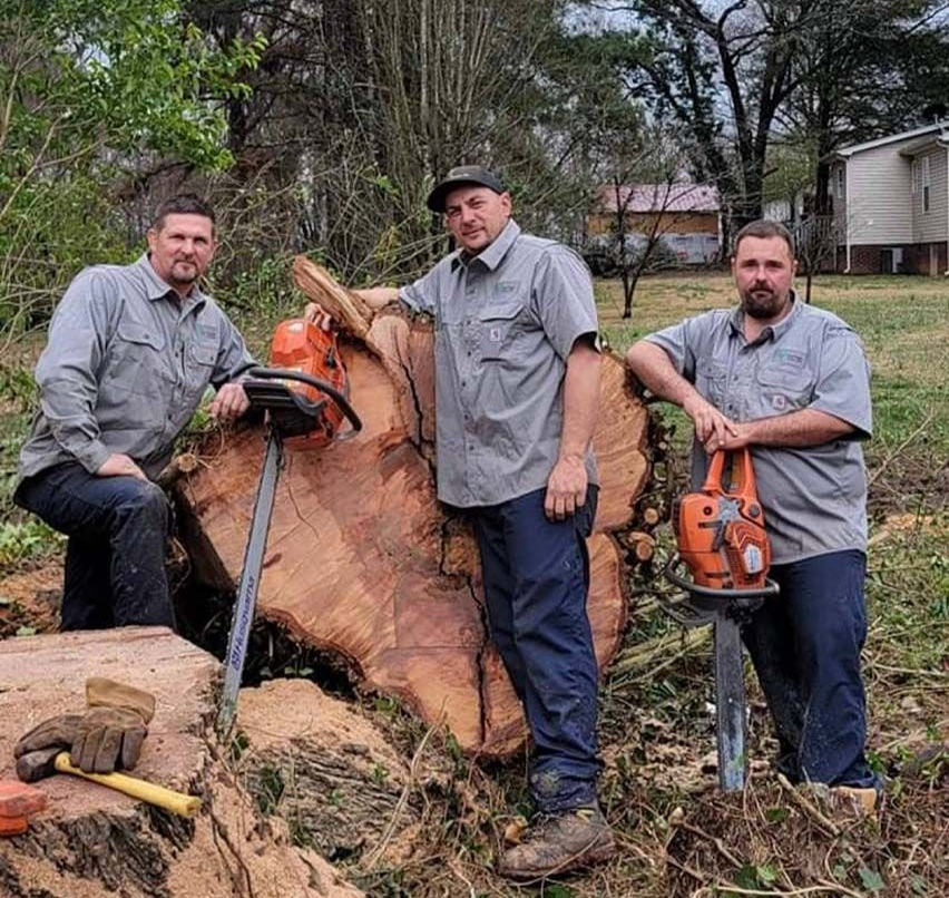Three people wearing gray shirts stand outdoors behind a massive tree trunk, each holding a chainsaw.