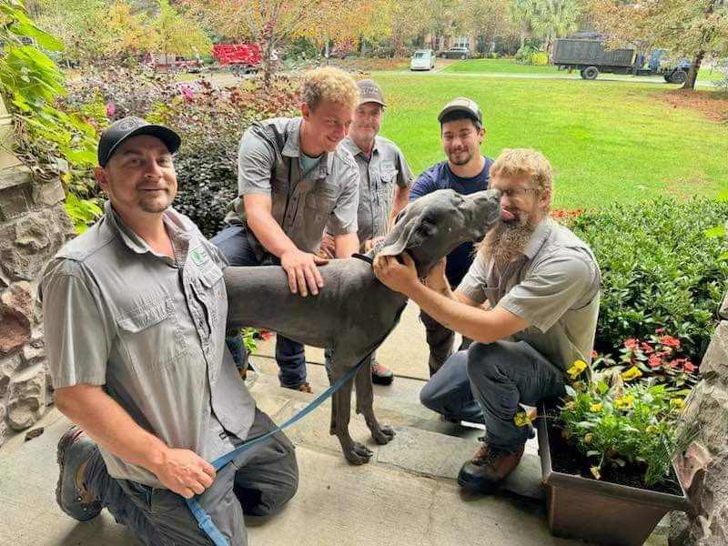 Five people in matching grey work shirts pose outdoors with a large, grey dog being petted by one of them.
