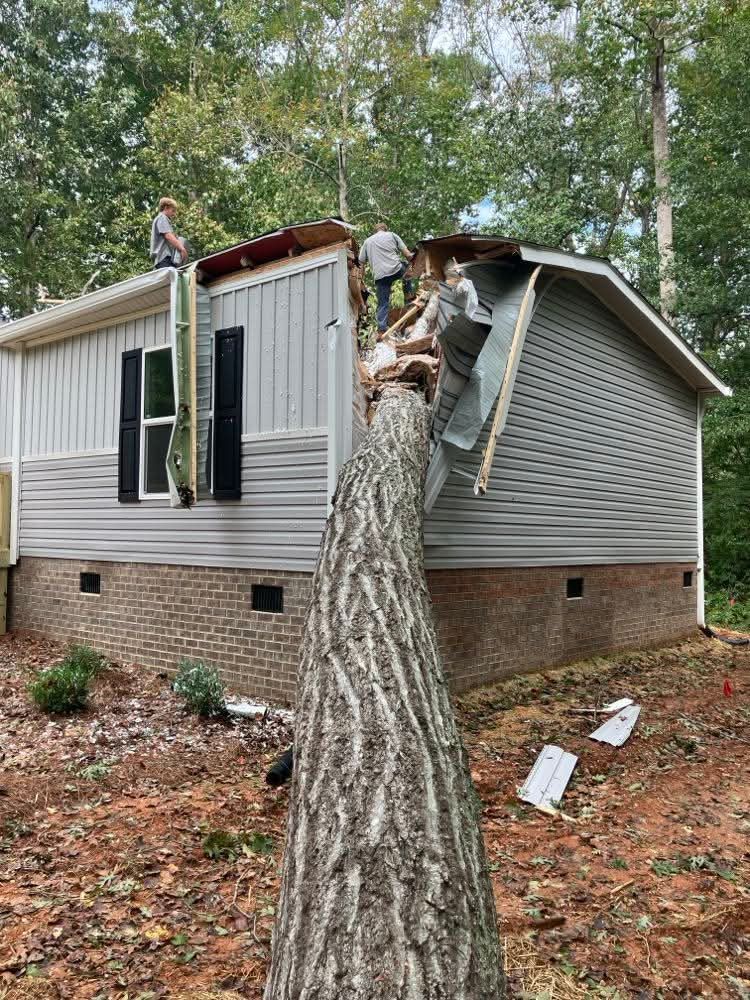 A large tree has fallen onto the roof of a gray house, with two workers standing on the roof near the damaged section.