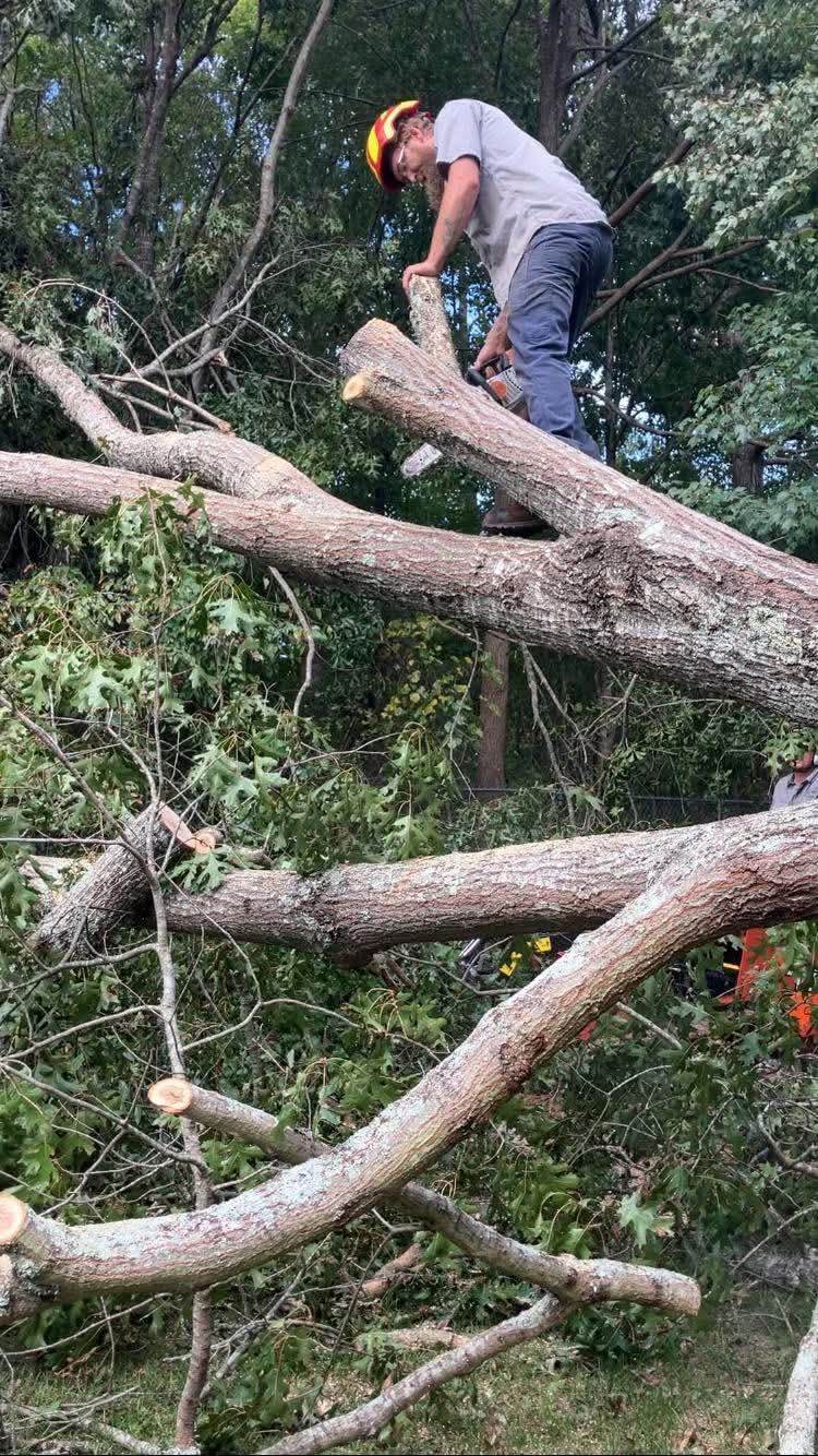 A person wearing a helmet climbs and works on a fallen tree in a wooded area.