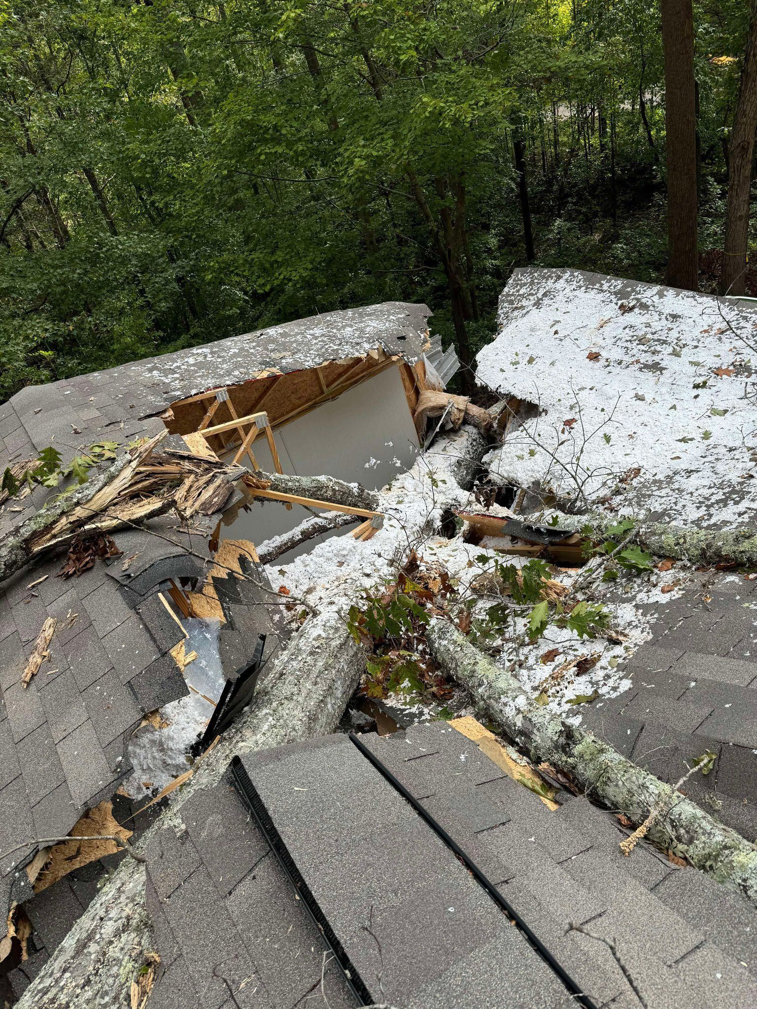 A tree has fallen through a residential roof, leaving a large hole and scattered debris across the shingles.