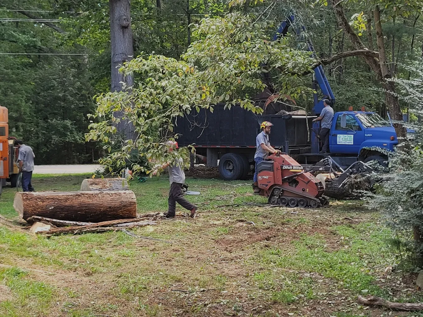A work crew uses machinery and a blue dump truck to clear logs and foliage in a wooded yard.