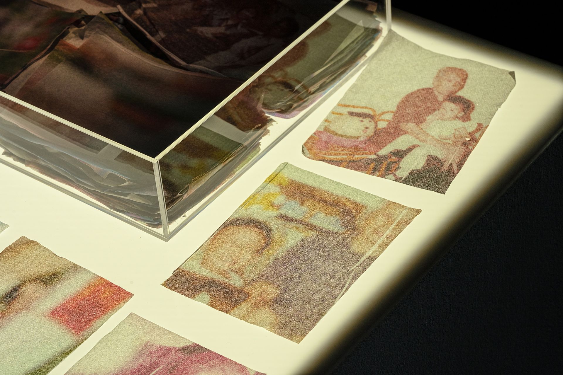 Installation view of 13x50 at Yeo Workshop, 2024. Photo by Siohhan Yeow. Courtesy Yeo Workshop.