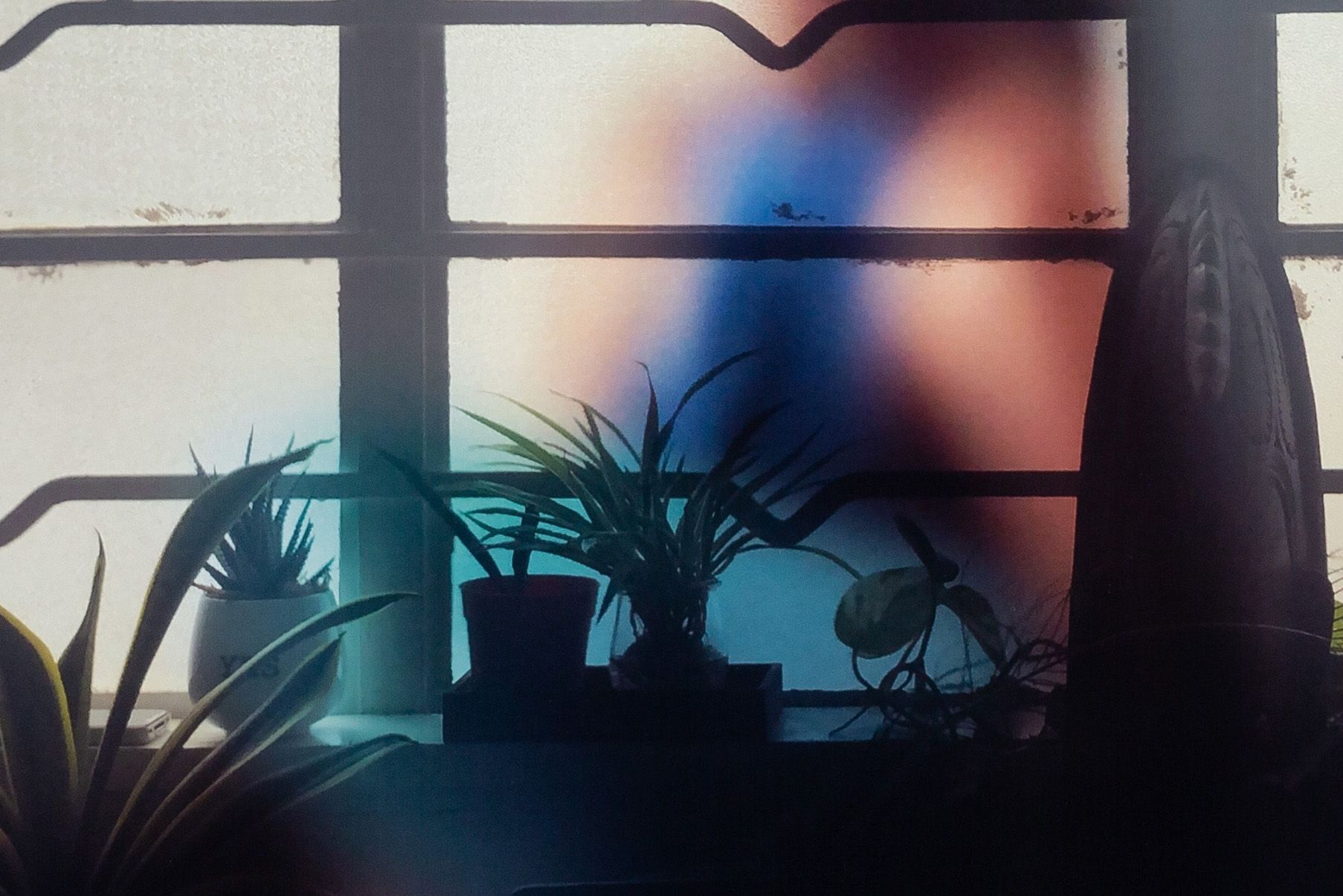  Detail. Untitled (The Other Shore), Lohas Park, 2015. Fujifilm RVP100F slide film (Kodak E100VS slide film discontinued), 120mm. 2020. 45x60cm. Digital c-print.  