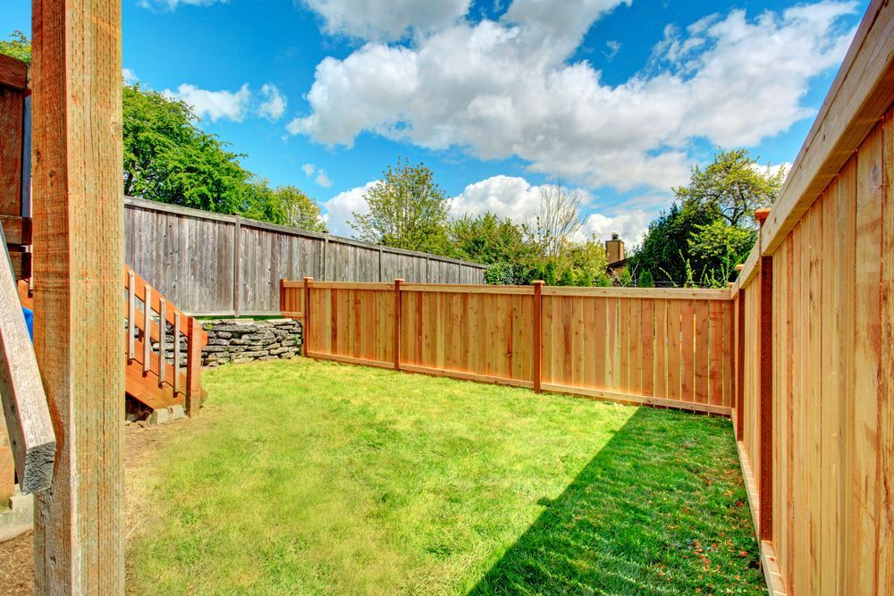 Sunny fenced backyard with green lawn, wooden deck steps, and tall timber privacy fence