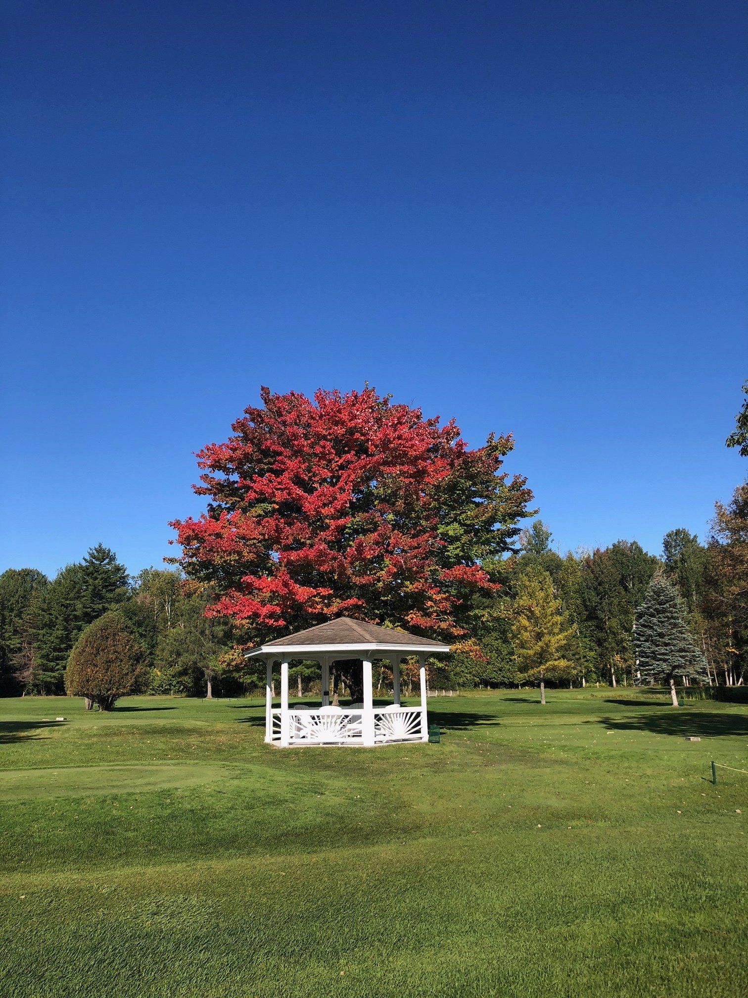 Mullett Lake Country Club View Our Gallery